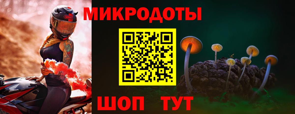 Псилоцибиновые грибы Cubensis  Вход с VPN  Урюпинск 